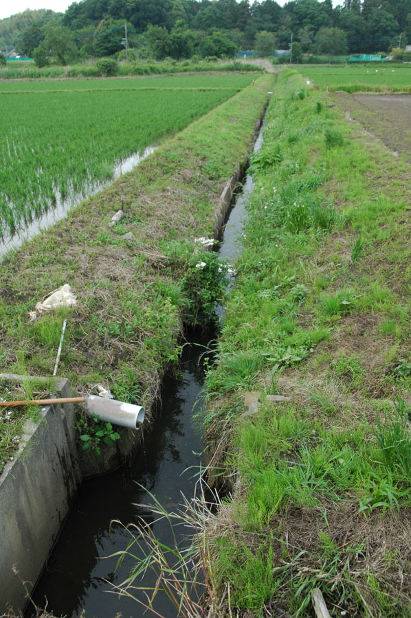 道草ネイチャーウォッチング ヌマガイ 千葉県木更津市